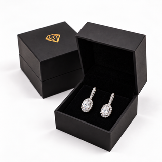 Cincature Drop Earrings
