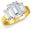 18ct Gold Clad