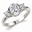 Platinum Clad