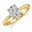 18ct Gold Clad