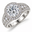 Platinum Clad